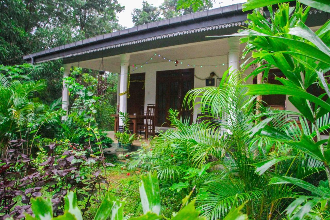 Sigiriya Mana B&B מראה חיצוני תמונה