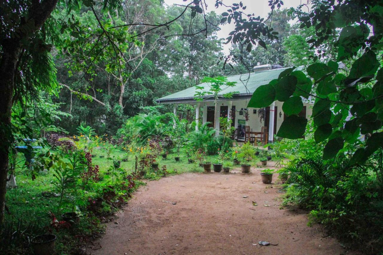 Sigiriya Mana B&B מראה חיצוני תמונה