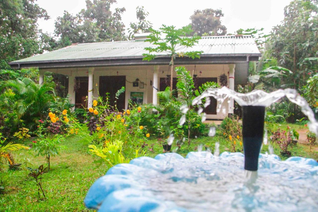 Sigiriya Mana B&B מראה חיצוני תמונה