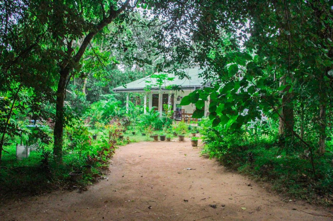Sigiriya Mana B&B מראה חיצוני תמונה