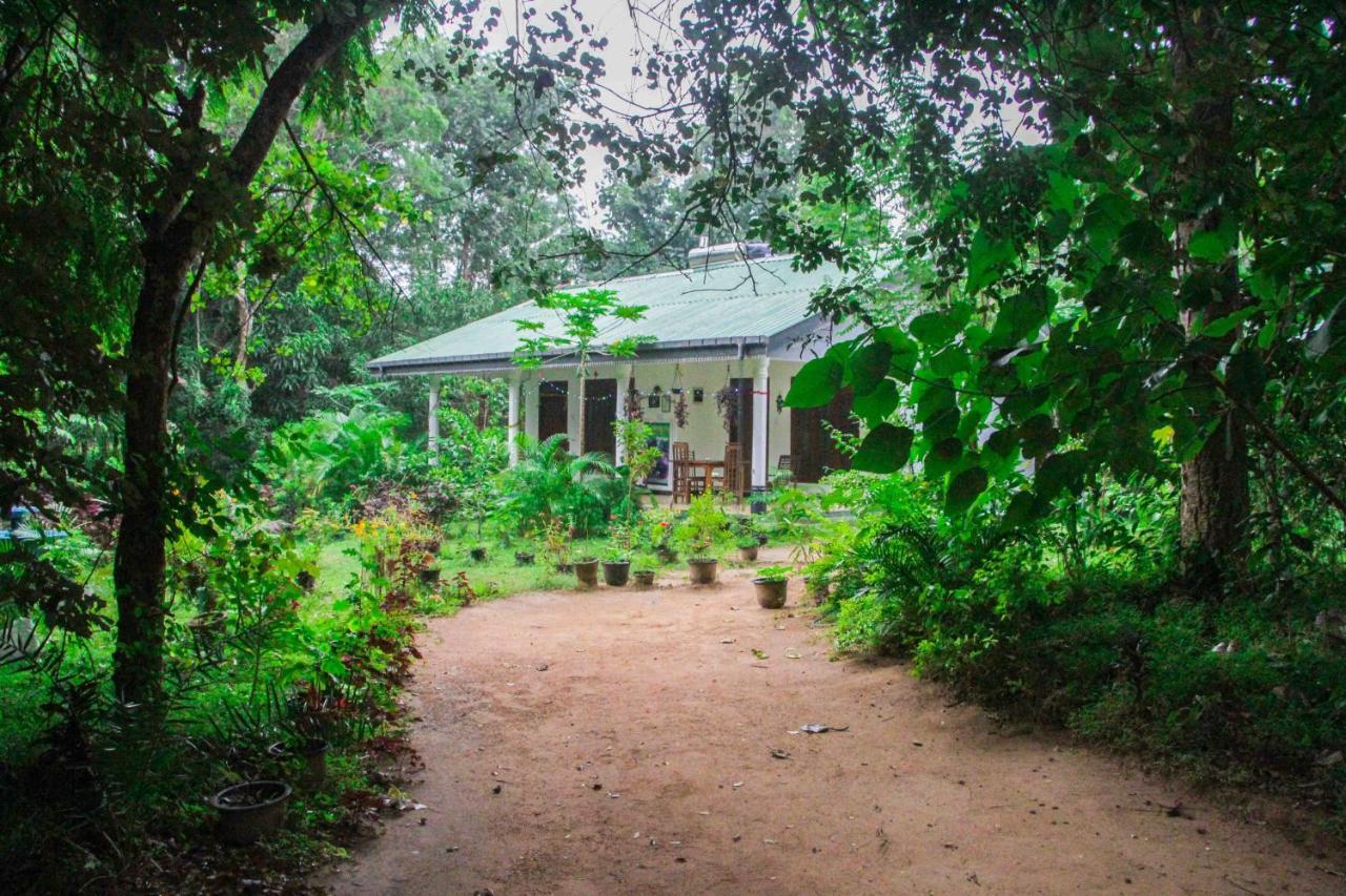 Sigiriya Mana B&B מראה חיצוני תמונה