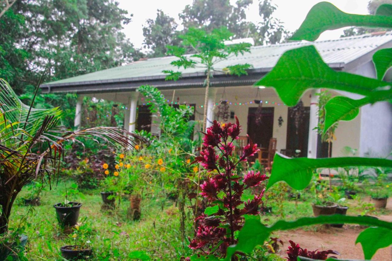 Sigiriya Mana B&B מראה חיצוני תמונה