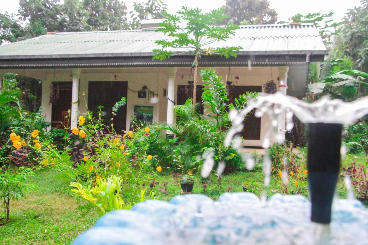 Sigiriya Mana B&B מראה חיצוני תמונה